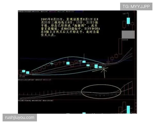 G组黑马背后的关键数据 G组黑马背后的关键数据